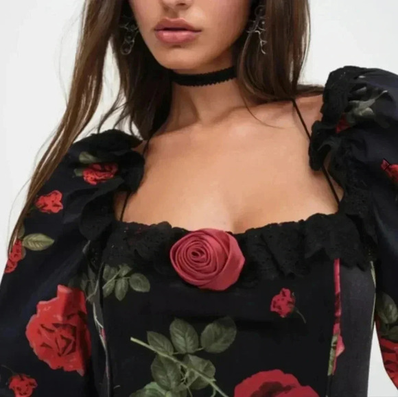 For Love and Lemons Yara Mini Dress Floral Roses Whimsy Goth Black Red XS - Picture 3 of 5